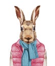 Animals as a human. Hare in down vest, sweater and scarf.