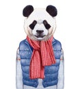 Animals as a human. Panda in down vest, sweater and scarf.