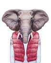 Animals as a human. Portrait of Elephant in down vest and sweater.