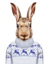 Animals as a human. Portrait of Hare in sweater.