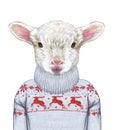 Animals as a human. Portrait of Lamb in sweater.