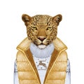 Animals as a human. Portrait of Leopard in down vest and sweater.