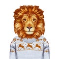 Animals as a human. Portrait of Lion in sweater.