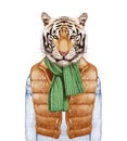 Animals as a human. Tiger in down vest, sweater and scarf.