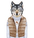 Animals as a human. Wolf in down vest and sweater.