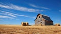 animals barn hay Royalty Free Stock Photo