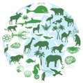 Animals and biodiversity