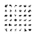 Animals black glyph icons set on white space