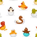 Animals born from eggs, eggshells and reptiles seamless pattern vector.