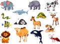 Animals cartoon collection one for kids