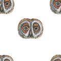 Owl Animals cartoon cute muzzles scandinavian style. Hand-drawn illustration of children