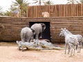 the animals climb on Noah's Ark, prehistoric park in Tunisia, To Royalty Free Stock Photo