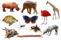 Animals collection