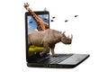 Animals Coming Out of a Laptop Screen