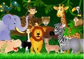 Cartoon Wild Animals
