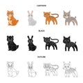 Animals, domestic, wild and other web icon in cartoon,black,outline style. Zoo, toys, children, icons in set collection.