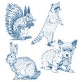 Animals drawings set