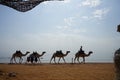 A camel caravan walks along the beach with the Gulf of Aqaba in the Red Sea in the background. Dahab, Egypt Royalty Free Stock Photo