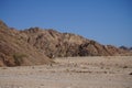 Camel and dog on the background of mountains in the vicinity of Malakot Mountain oasis. Dahab, South Sinai Governorate, Egypt