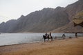 Riders on horseback gallop along the beach along the Red Sea in the Gulf of Aqaba. Dahab, South Sinai Governorate, Egypt