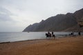 Riders on horseback gallop along the beach along the Red Sea in the Gulf of Aqaba. Dahab, South Sinai Governorate, Egypt