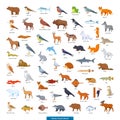 Animals of Europe Collection Royalty Free Stock Photo