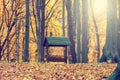 Animals feeder in autumn forest