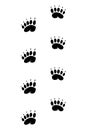 Animals feet track. Bear black paw, walking feet silhouette or footprints. Trace step imprints isolated on white
