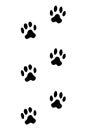 Animals feet track. Cat black paw, walking feet silhouette or footprints. Trace step imprints isolated on white. Walking Royalty Free Stock Photo