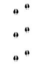 Animals feet track. Cow black paw, walking feet silhouette or footprints. Trace step imprints isolated on white. Walking Royalty Free Stock Photo