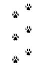 Animals feet track. Dog black paw, walking feet silhouette or footprints. Trace step imprints isolated on white. Walking