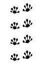 Animals feet track. Gecko black paw, walking feet silhouette or footprints. Trace step imprints isolated on white