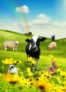 Animals in field 2 Royalty Free Stock Photo