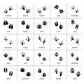 Animals foot marks. Animal footprint, animals paw silhouettes, bear, cat, wolf and rabbit footprint steps vector