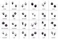 Animals footprint. Animal, birds and reptile foot marks, wild animals paw silhouettes, mammals walking paw tracks vector Royalty Free Stock Photo