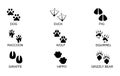 Animals footprints. Animal trails.Animal feet silhouette, frog footprint and pets foots silhouettes prints vector illustration set Royalty Free Stock Photo