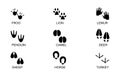 Animals footprints. Animal trails.Animal feet silhouette, frog footprint and pets foots silhouettes prints vector illustration set