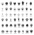 Animals footprints. Animal paws prints. Elephant and gorilla, bison and wolf. Cat, dog and deer, bear black foot tracks Royalty Free Stock Photo