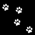 Animals footprints.Paw print vector isolated