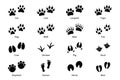 Animals footprints, paw prints. Set of different animals and birds footprints and traces Royalty Free Stock Photo