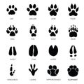 Animals footprints Royalty Free Stock Photo