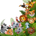 Animals forest cartoons meet together Royalty Free Stock Photo