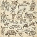 Animals - Freehand sketching, pack Royalty Free Stock Photo