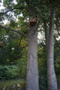 Birdhouse hanging on a tree trunk in October. Berlin, Germany Royalty Free Stock Photo