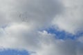 A flock of migratory wild geese flies to warmer climes in October against a cloudy sky over Berlin, Germany.