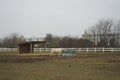 The horse stands at the feeder with hay covered with a net so that the animal does not overeat. Stadtrandhof, Schoenefeld, Germany