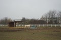 The horse stands at the feeder with hay covered with a net so that the animal does not overeat. Stadtrandhof, Schoenefeld, Germany