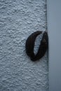 Two Limax maximus slugs are crawling on a white exterior wall in a garden. Berlin, Germany Royalty Free Stock Photo