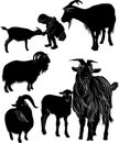 Animals goats collection vector  silhouette Royalty Free Stock Photo