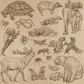 Animals - hand drawn vector pack Royalty Free Stock Photo